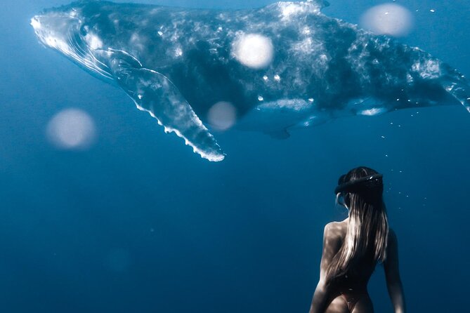 Swimming with Whales in Moorea (Half Day tour) - Who should book this Moorea excursion