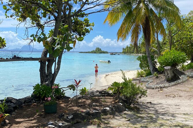 Taha'a Island or Raiatea Boat Tour - Jardin de Corail and the clear-water stop