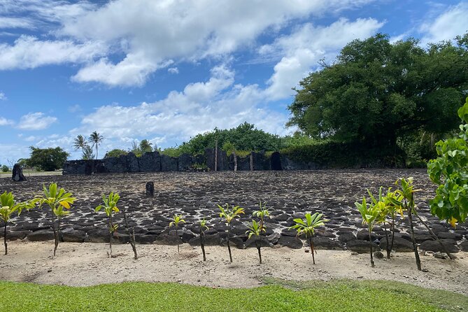Taha'a Island or Raiatea Boat Tour - Vanilla Prods Shop and Tahaa’s famous crop