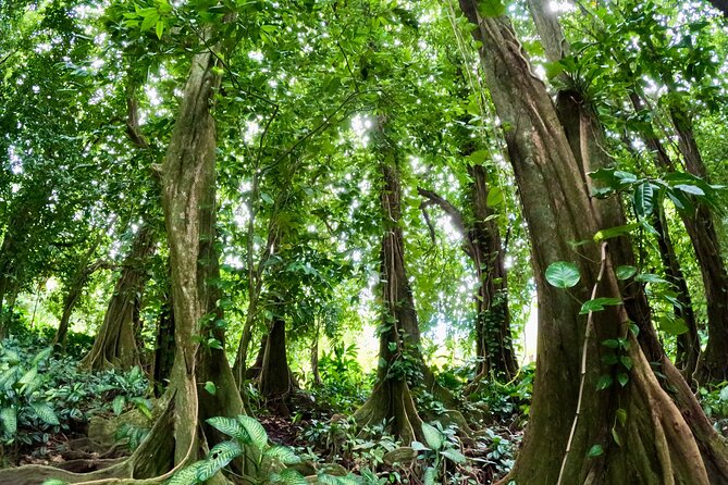 Taha'a Island or Raiatea Boat Tour - Starting in Uturoa with a small boat group