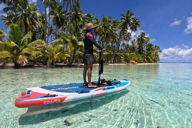 Tahaa Excursion in Electric Paddle Snorkeling Coral Garden - Key points at a glance