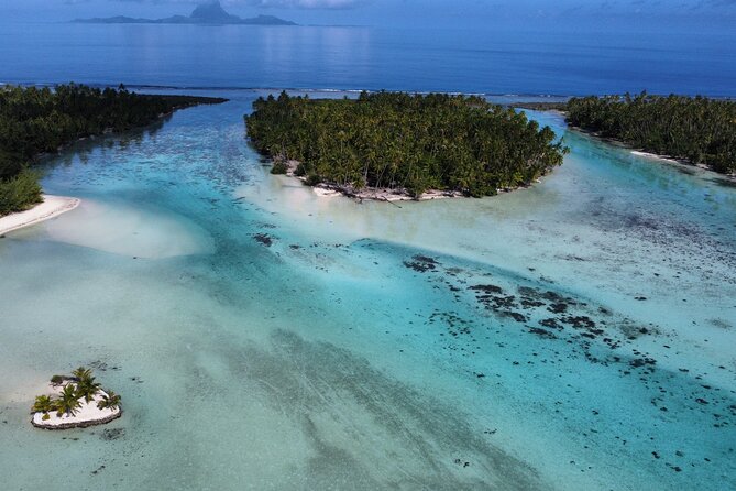 Tahaa Excursion in Electric Paddle Snorkeling Coral Garden - Why the electric paddleboard matters on Taha’a