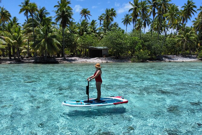 Tahaa Excursion in Electric Paddle Snorkeling Coral Garden - The afternoon option is shorter and more focused