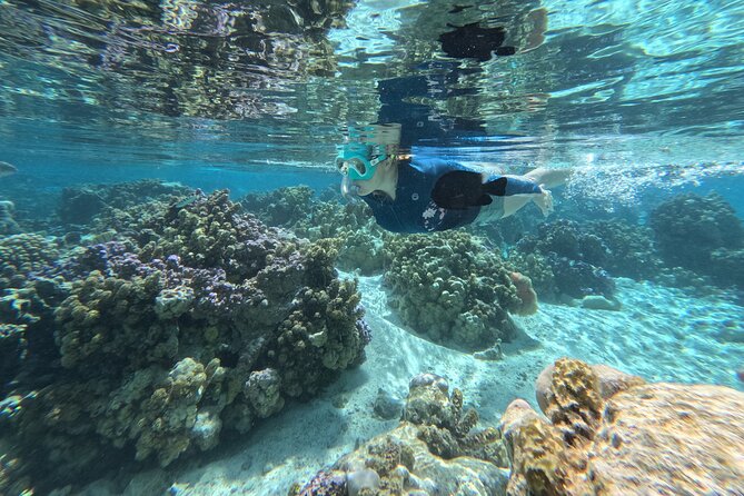 Tahaa Excursion in Electric Paddle Snorkeling Coral Garden - Private outings let you set the pace