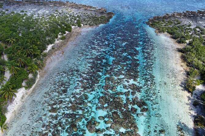 Tahaa Excursion in Electric Paddle Snorkeling Coral Garden - The snack stop is small but worthwhile