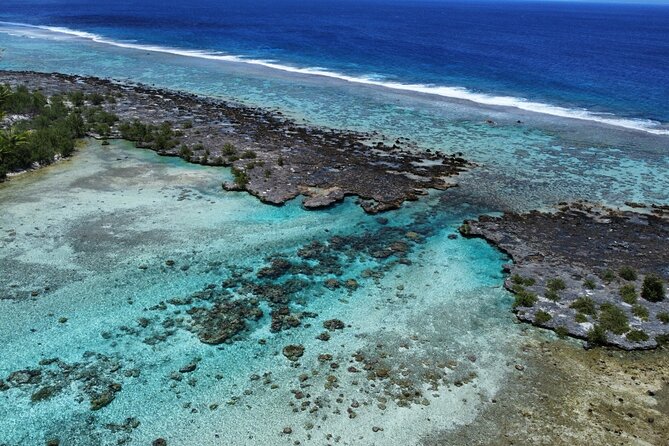 Tahaa Excursion in Electric Paddle Snorkeling Coral Garden - What the $128.23 price includes