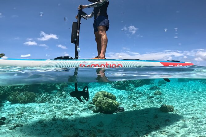 Tahaa Excursion in Electric Paddle Snorkeling Coral Garden - Reaching the Coral Garden from Taha’a