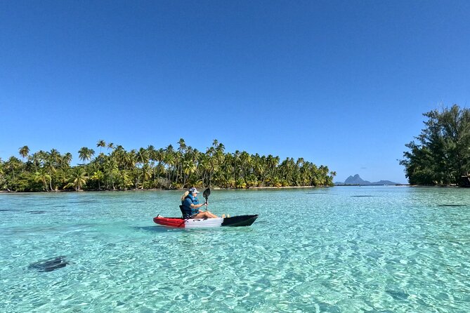Tahaa: Kayaking Rental - Coral Garden - Snorkeling - Why the Coral Garden is worth the paddle