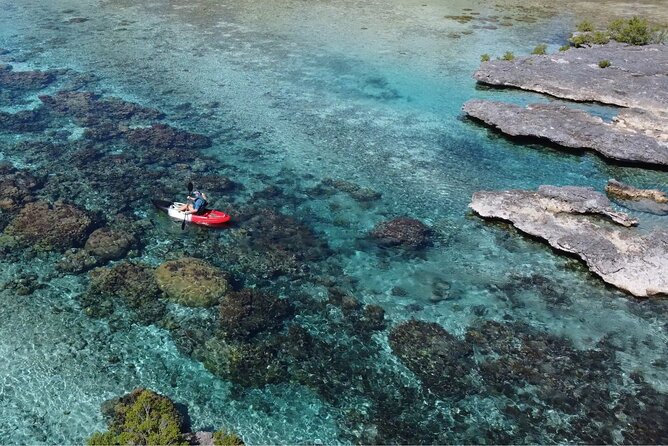 Tahaa: Kayaking Rental - Coral Garden - Snorkeling - Snorkeling at the natural aquarium