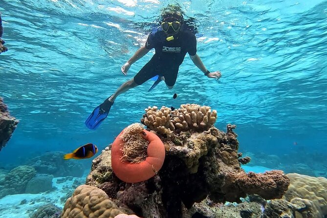 Tahaa: Kayaking Rental - Coral Garden - Snorkeling - A return trip with time to notice the lagoon