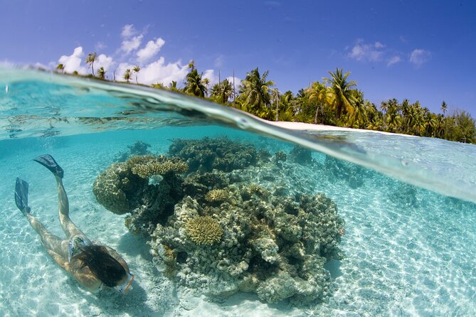 Tahaa Lagoon Tour -Departure Raiatea-Small groups (max 12 p) - A stop for rum and a guide-led island day