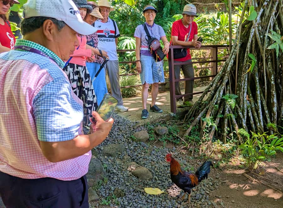 Tahiti Classical Coastal Full Day Private Tour - ’Ārahurahu Marae, a quiet introduction to Polynesian tradition