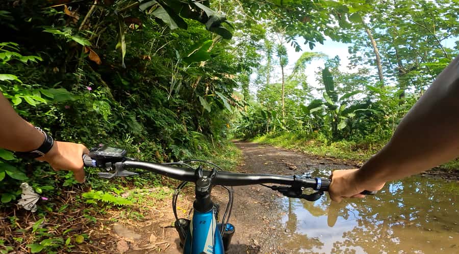 Tahiti E-bike, mtb, vtt Tour with Swimming and Lunch - The cold-water stop at King’s Basin
