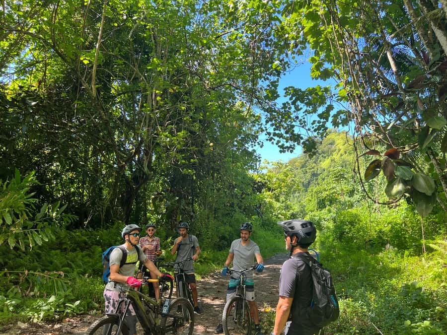 Tahiti E-bike, mtb, vtt Tour with Swimming and Lunch - The 75-minute transfer into the valley