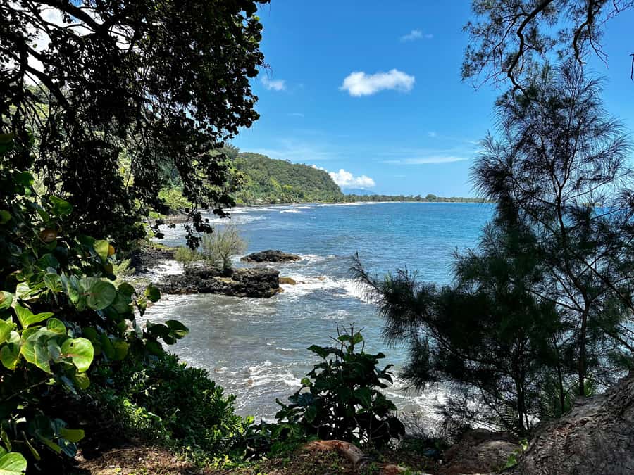 Tahiti: East or West coast tour (Half Day) - Key points at a glance
