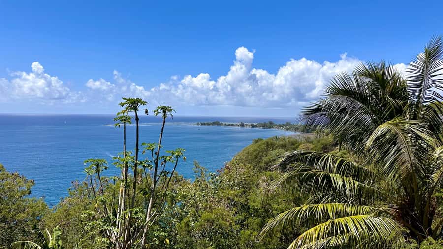 Tahiti: East or West coast tour (Half Day) - One half-day, two very different Tahitis