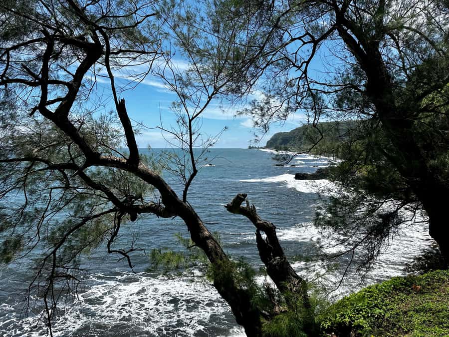 Tahiti: East or West coast tour (Half Day) - The West Coast: beaches, caves, and surf country