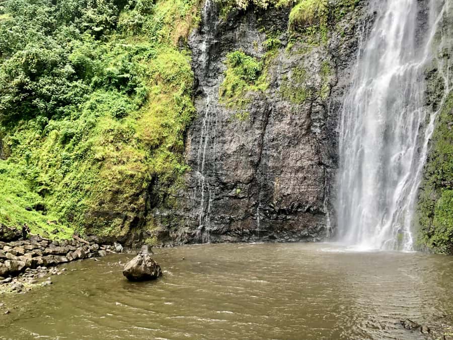 Tahiti: East or West coast tour (Half Day) - What the private car changes
