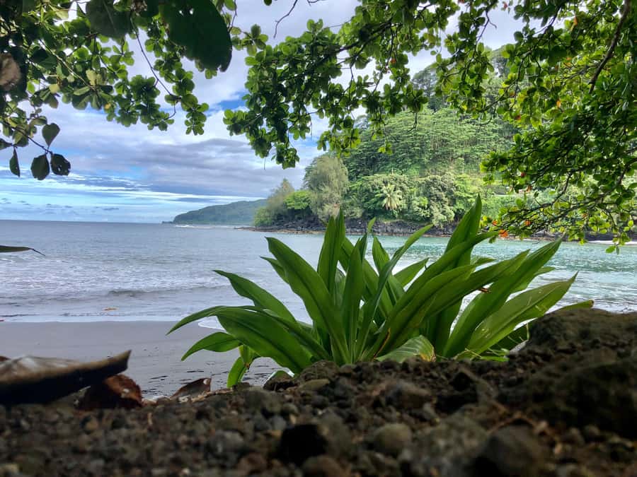 Tahiti: East or West coast tour (Half Day) - Is $550 a fair price?