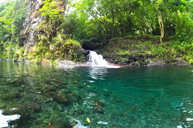 Tahiti excursion adventure circuit MTB MTB E-Bike private valley - Descending to Bassin du Roi