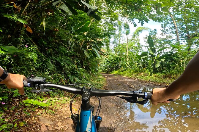 Tahiti excursion adventure circuit MTB MTB E-Bike private valley - What the $285.44 price includes