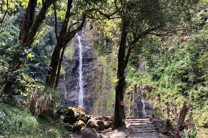 Tahiti: Full Day Tour of the Island - The Arahoho Blowhole turns the coast into a natural show