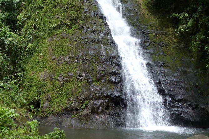 Tahiti: Full Day Tour of the Island - Vaipahi Water Gardens add flowers, ponds, and an easy stroll