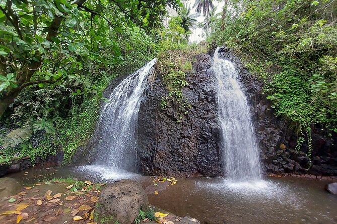 Tahiti Half Day Coastal Private Tour - Key points to know before you book