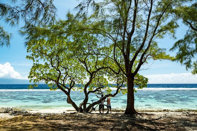 Tahiti Half Day Coastal Private Tour - Taharuu Beach and Tahiti’s surf culture