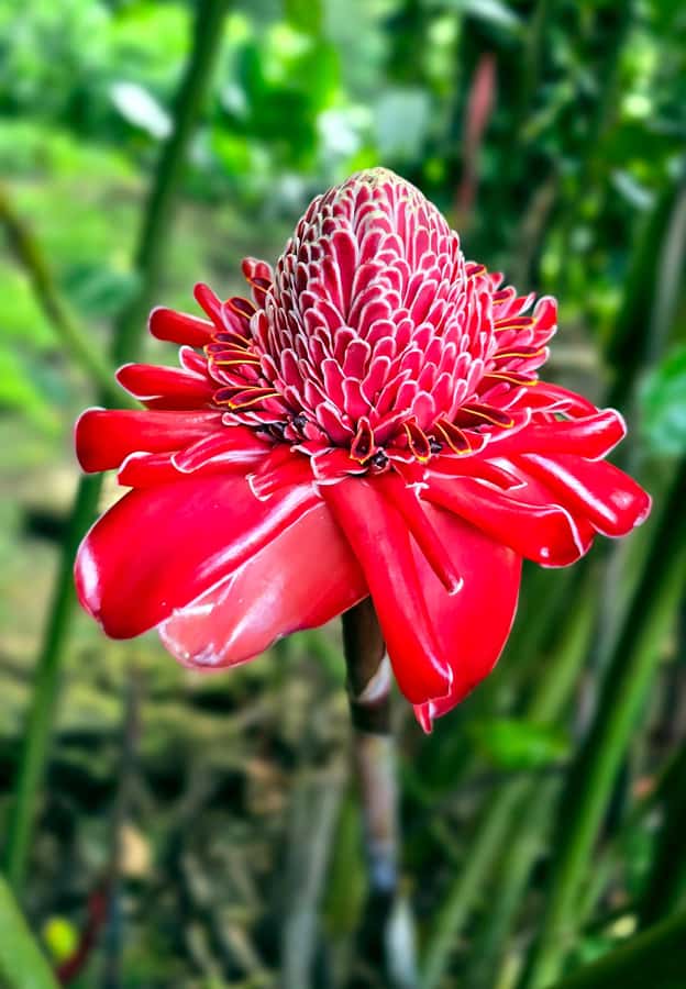 Tahiti Half Day Small Group Circle Tour - Waterfalls & Caves - Ta’ata Marae and the foundations of Polynesian life