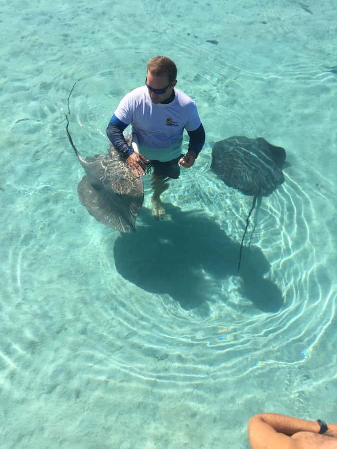 Tahiti island: 4 hours Snorkeling Tour - The Aquarium: wrecks, fish, and unusual underwater details