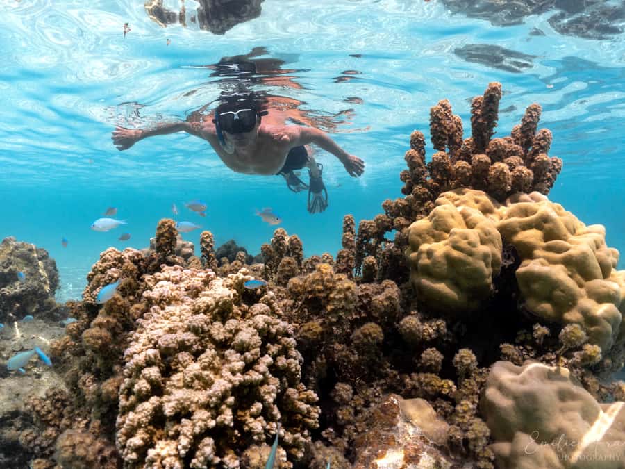 Tahiti island: 4 hours Snorkeling Tour - A reassuring setup for nervous swimmers