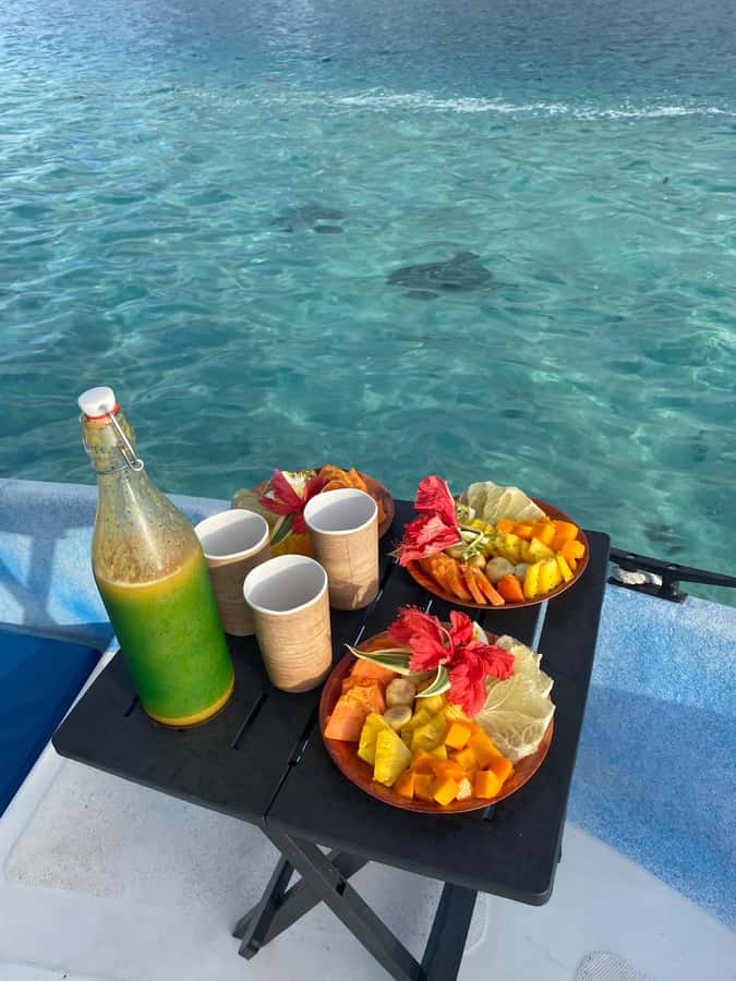Tahiti island: 5 hours Snorkeling Picnic - The Aquarium has a sunken plane and shipwrecks