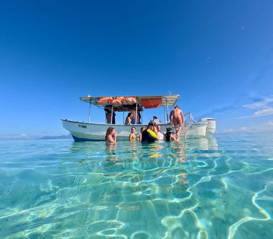 Tahiti island: 5 hours Snorkeling Picnic - Freshwater springs lead to turtle country