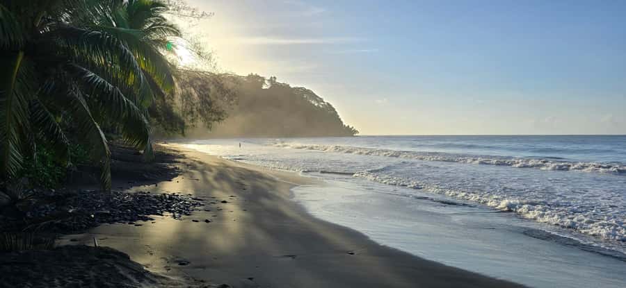 Tahiti: Northeast Coast Waterfalls&Viewpoints Half Day Tour - Why Tahiti’s Northeast Coast Is Worth Your Morning
