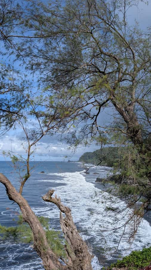 Tahiti: Northeast Coast Waterfalls&Viewpoints Half Day Tour - Motu Anapa and Pointe Tapahi Follow the Surf