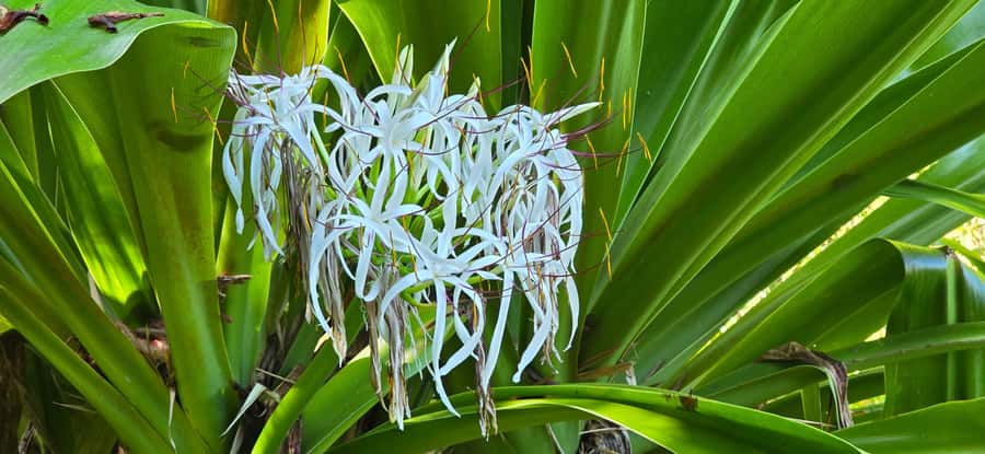 Tahiti: Private Half Day Culture and Nature Highlights Tour - Phaeton Bay and Tahiti’s seafaring side