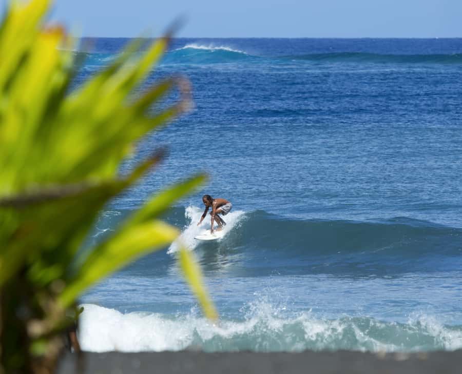 Tahiti: Private Half Day Culture and Nature Highlights Tour - Marae Arahurahu and Tahiti’s Polynesian past