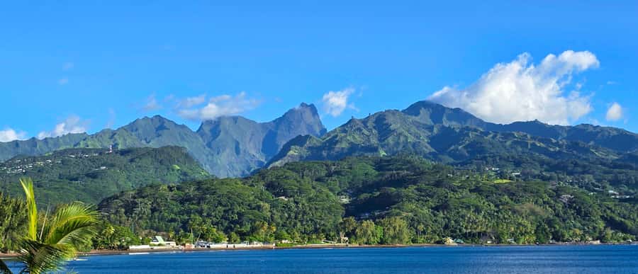 Tahiti Private Half Day Tour. Nature, history and culture - A smart way to see Tahiti on limited time