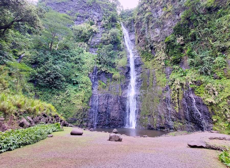 Tahiti Private Half Day Tour. Nature, history and culture - Vaipahi Water Gardens: an easy walk through tropical plants