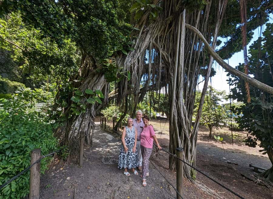 Tahiti Private Half Day Tour. Nature, history and culture - What the guide adds to the scenery
