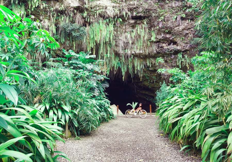 Tahiti Private Half Day Tour. Nature, history and culture - How the pace feels