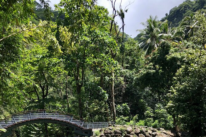 Tahiti: Tour of the East or West Coast (Half Day) - Vaipahi Water Gardens make a gentle final stop
