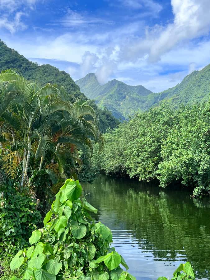 Tahiti: Unique Full Day West Coast, Combo Tour to Teahupoo - Taharuu Beach and Tahiti’s black sand