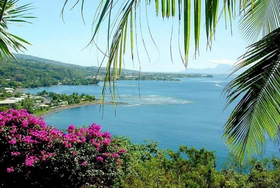 Tahiti: West and East Coast Island Tour with Waterfalls - Key points to know before booking