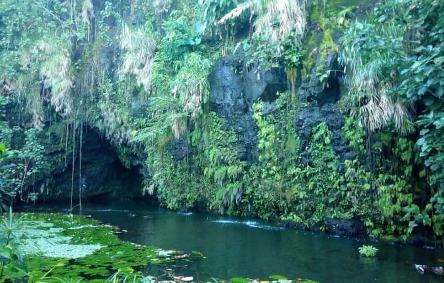 Tahiti: West and East Coast Island Tour with Waterfalls - Faarumai Waterfall supplies the cool-air moment