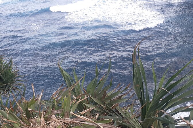 Tanna Island: Full Day Tour Including Mt Yasur Volcano and the Hotspring - Who should book this Tanna volcano day
