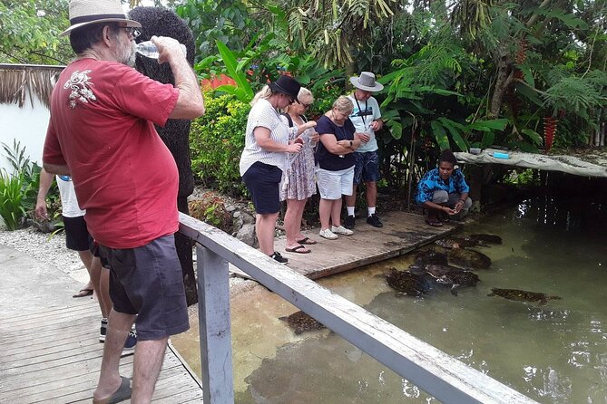 Taste of the Tropics Tour in Efate Vanuatu - Blue Lagoon and the rope swing challenge