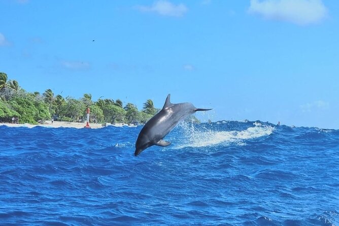 The Blue Lagoon by private boat - Why the Blue Lagoon makes a strong Rangiroa day trip