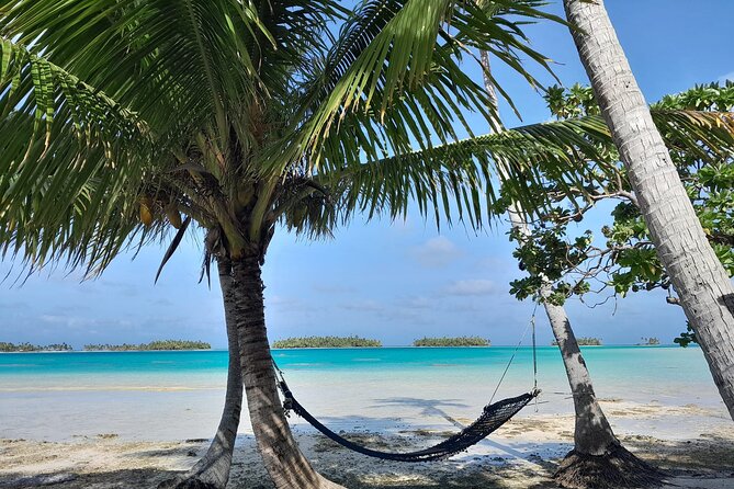 The Blue Lagoon by private boat - Bird Island and the Blue Lagoon motu